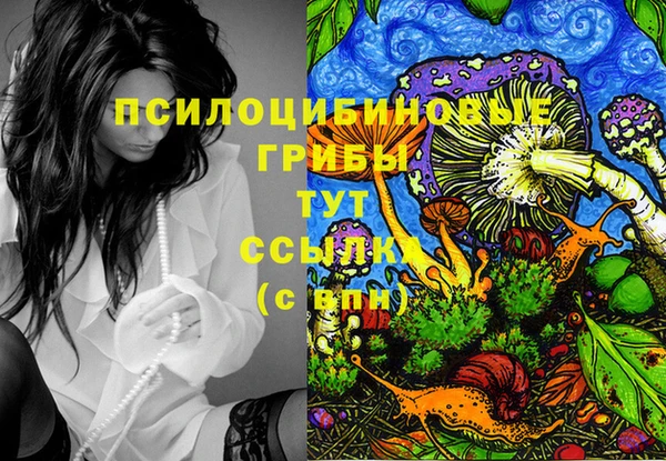 мефедрон мука Кодинск