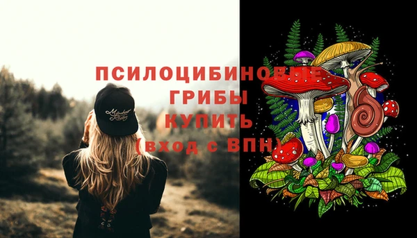 mdma Козловка