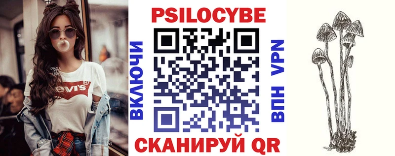 Купить закладки  Жуков  Псилоцибиновые грибы Magic Shrooms 